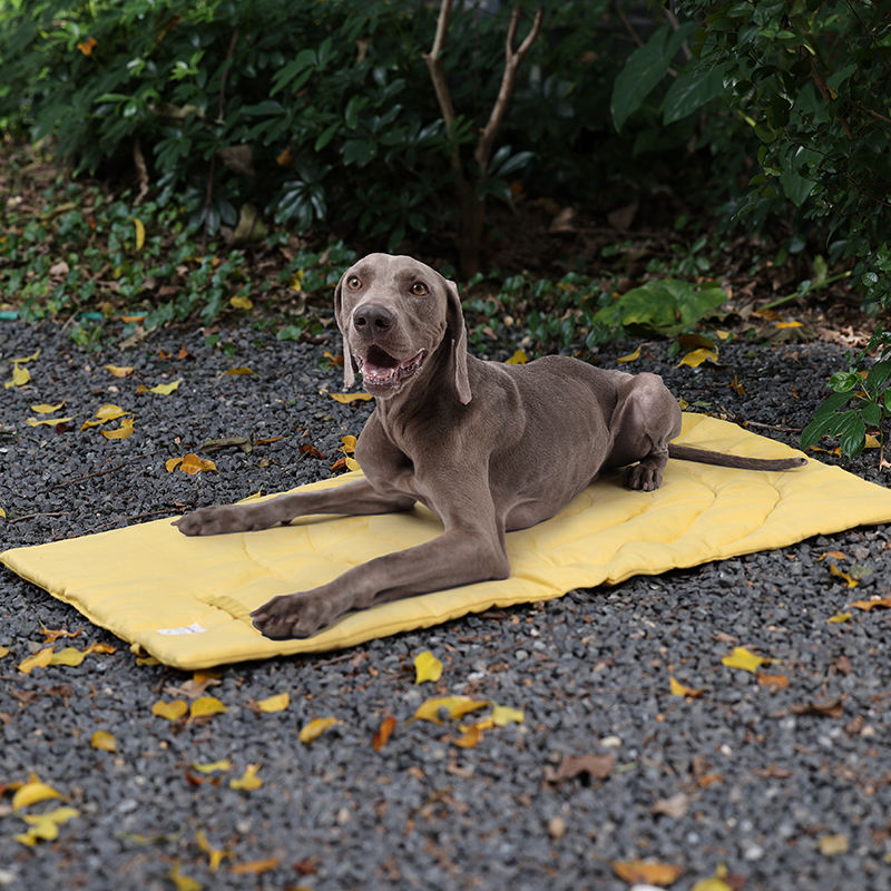 Draagbare Dierenmat Opvouwbare - Outdoor Camping Dog Fence recensie en prijs