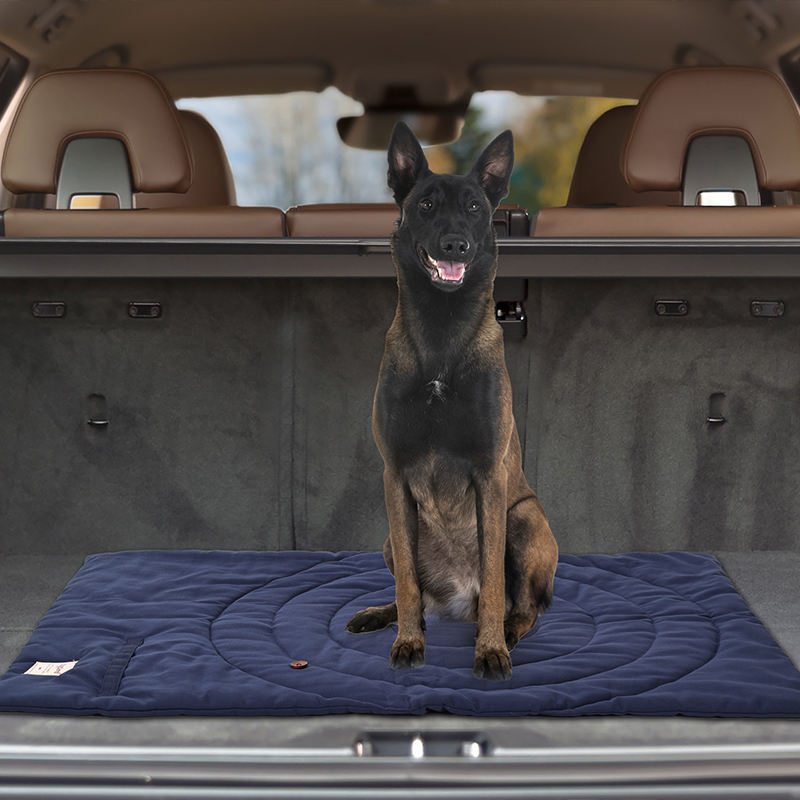 Draagbare Dierenmat Opvouwbare - Outdoor Camping Dog Fence recensie en prijs